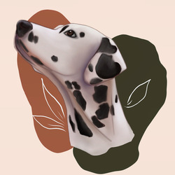 Dalmatian