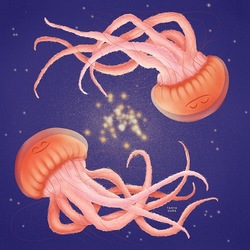 Парящие медузы