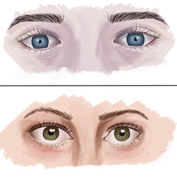 Eyes