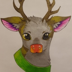 Deer