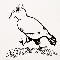 Добрая ворона