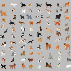 100 собак векторная графика