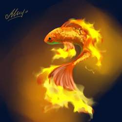 Золотая рыбка исполнит одно желание 