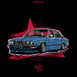 BMWE12