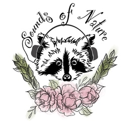 Звуки природы