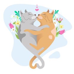 Кошачья любовь