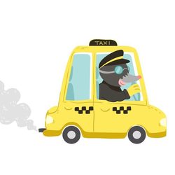 Слепой шофёр такси