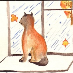 Кошечка Мурка ("Защитник" Евгении Кариповой)