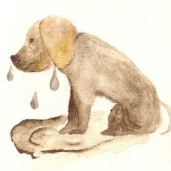 Тузик (к сказке "Защитник" Евгении Кариповой)