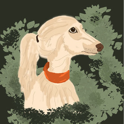 собака в зелени