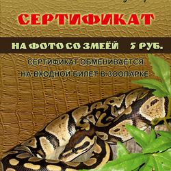 сертификаты для зоопарка