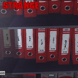 Life is Strange:Season 1 Max Payne Style