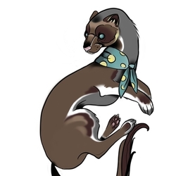 Хорек в платочке