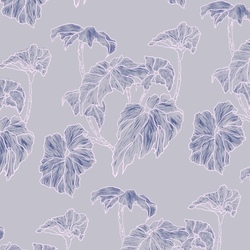 Цветы на окне моей классухи 