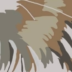 Сибирская кошка