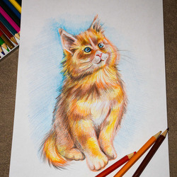 Кот-Рыжик