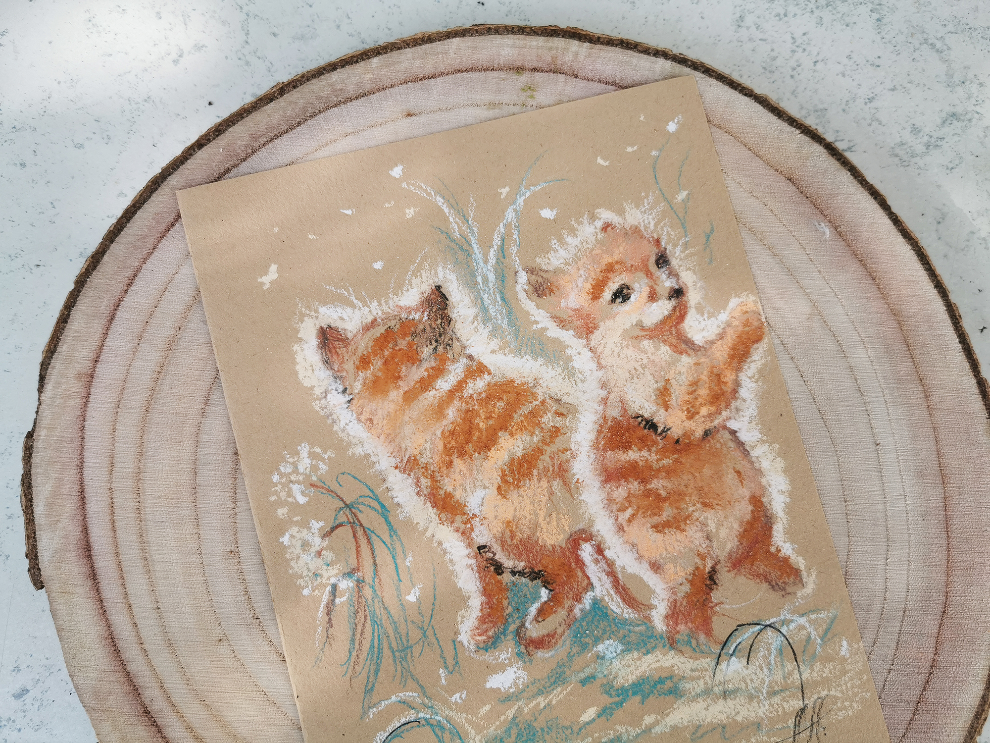 Солнечные рыжики