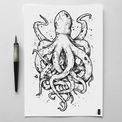 octopus