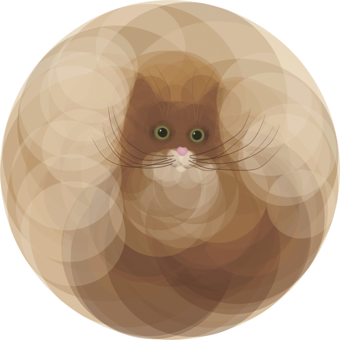 Round cat