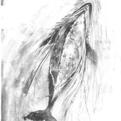 Рыба-кит
