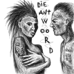 DIE ANTWOORD