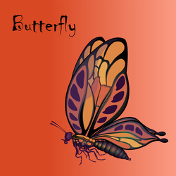 Бабочка в профиль