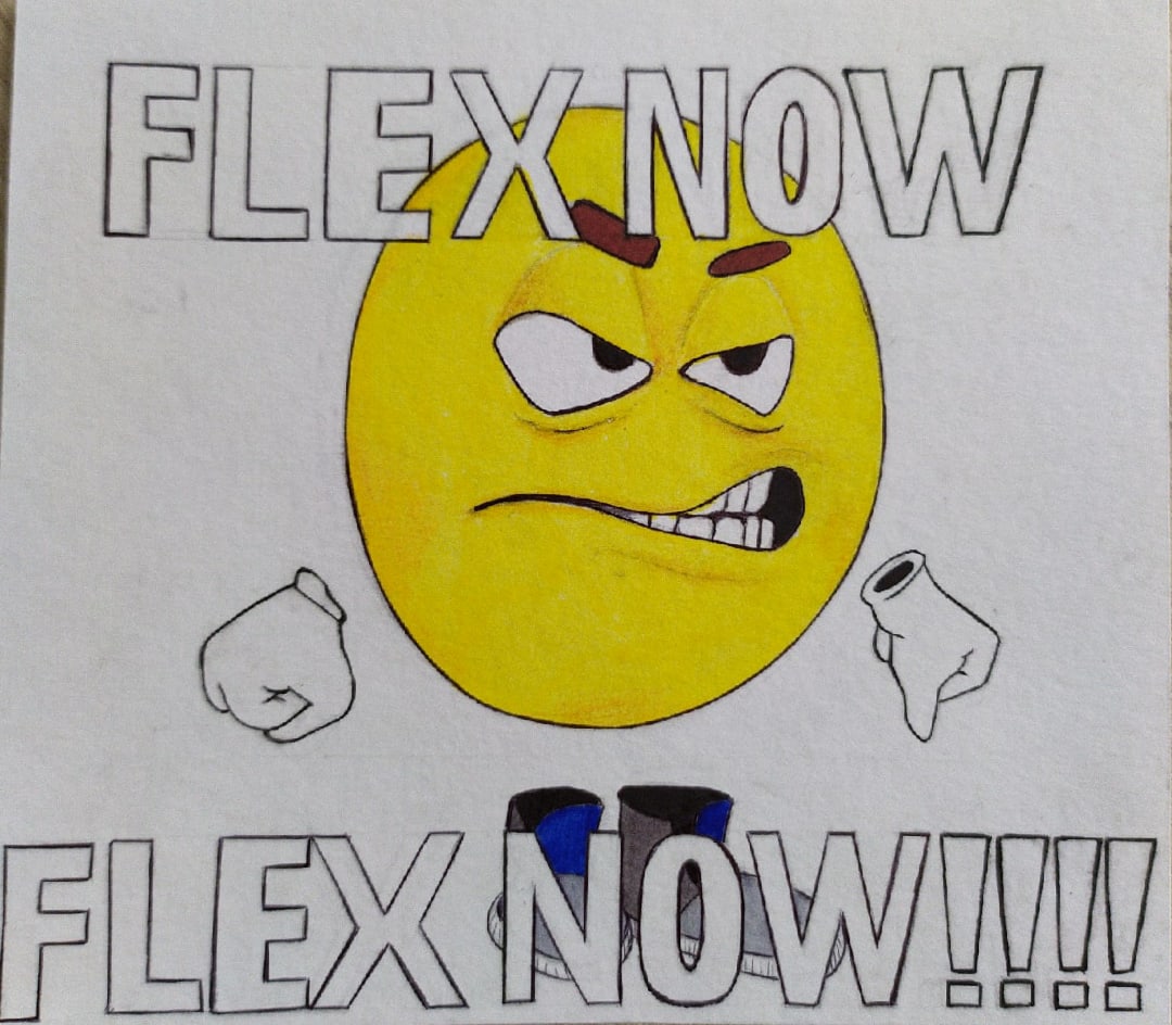 FLEX NOW