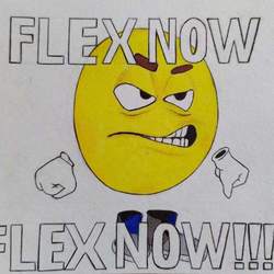 FLEX NOW