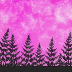 Закат в тишине