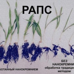   Экологически чистые удобрения для получения отличного урожая