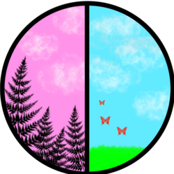 Два разных мира