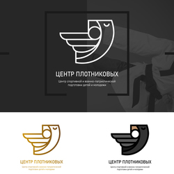 Конкурсная работа "Центр Плотниковых"