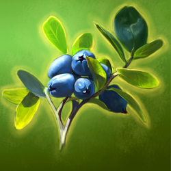  berries