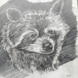 Судьба в глазах...