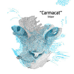 Carmacat