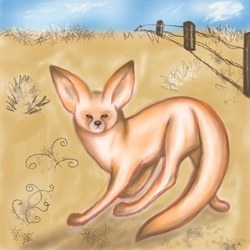 Австралийская лиса