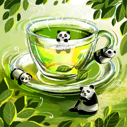 Чайные панды