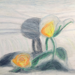 Роза застывшая во льду