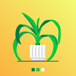 Цветок Амараллис