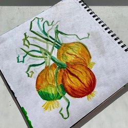 Onion