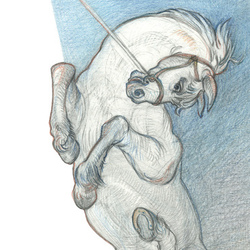 Приключения барона Мюнхаузена. Рудольф Эрих Распе.