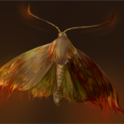 Стикер для упаковки меда "Мотылек"