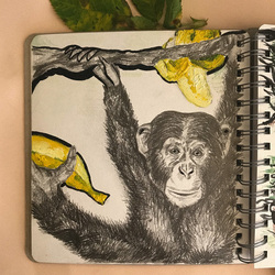 banana