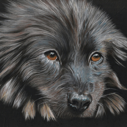 Преданность 