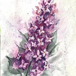 Ветвь сирени