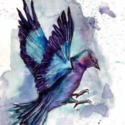 Голубая птица