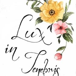 Свет во тьме