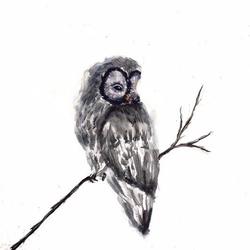 Мечтательная сова