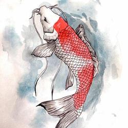 Японский карп