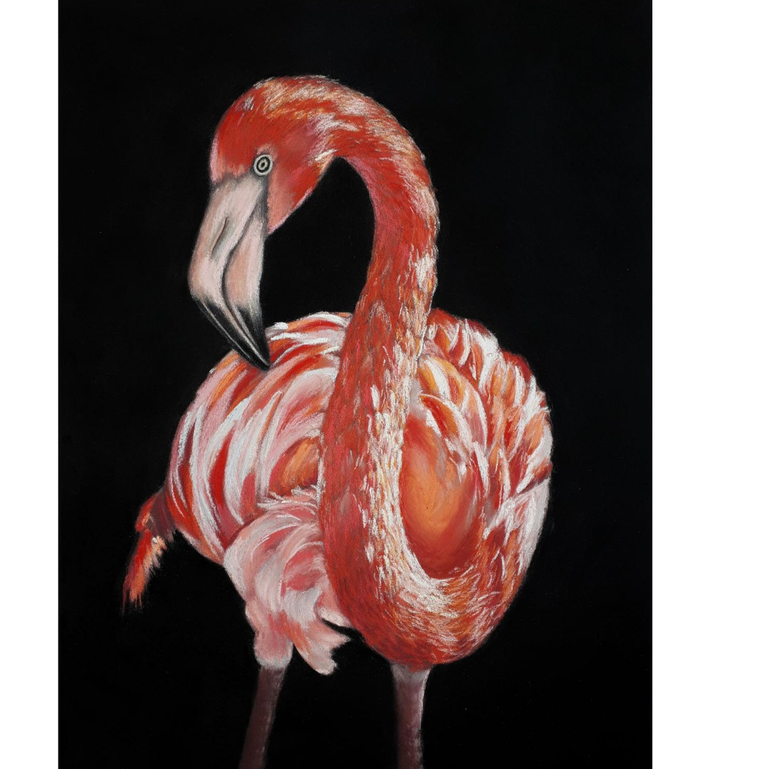 Портрет фламинго